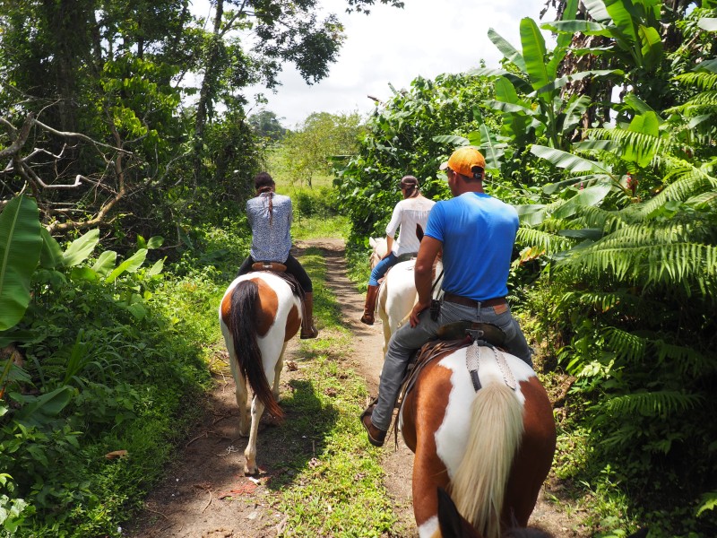 Arenal Paraiso - Reiten