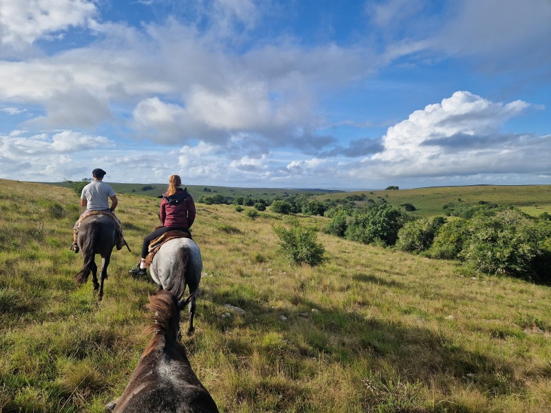 Estancia Los Platanos - Ausritte