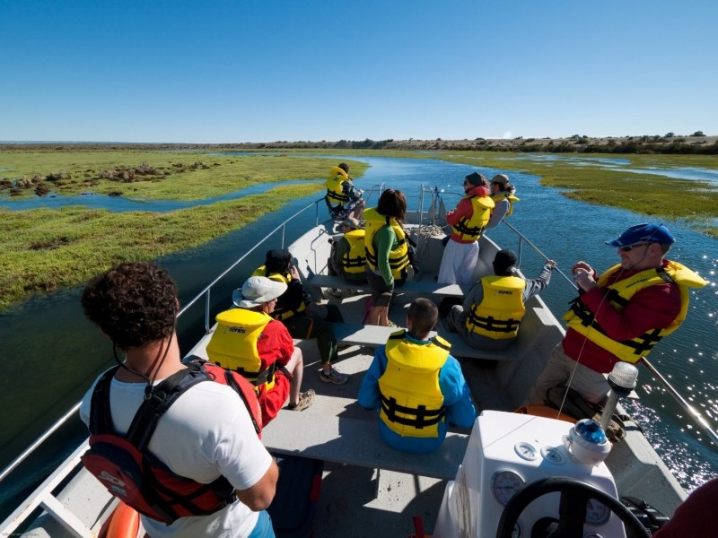 Bahia Bustamante Bootsausflug 
