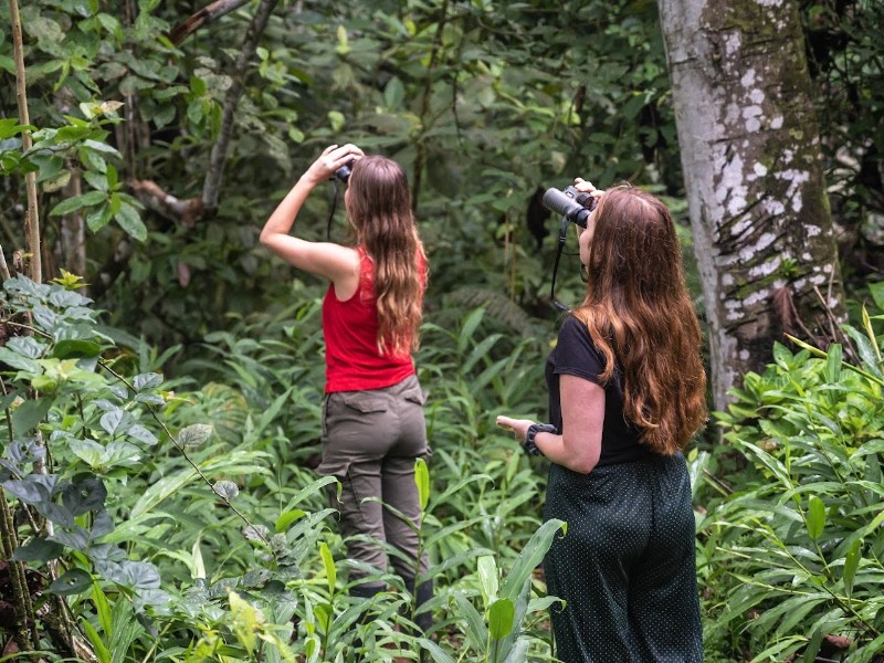 Tierbeobachtung im Amazonas