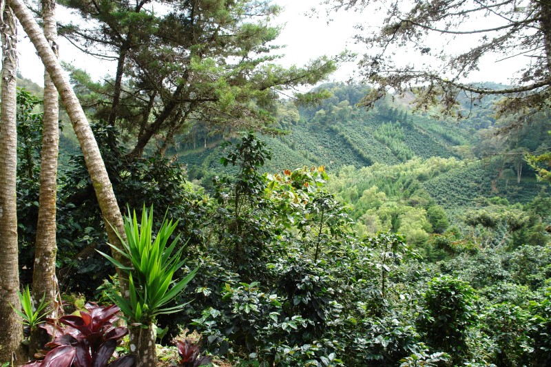 Discovery Mietwagenreise