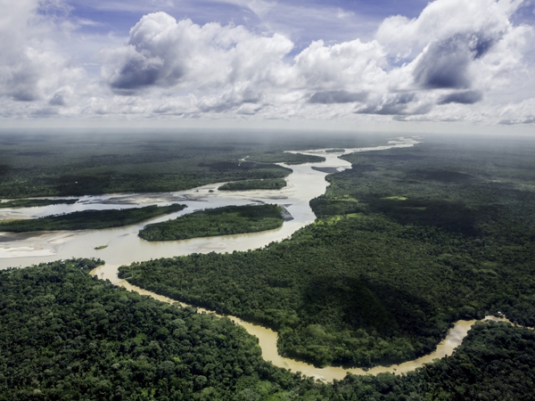 Blick auf den Rio Napo