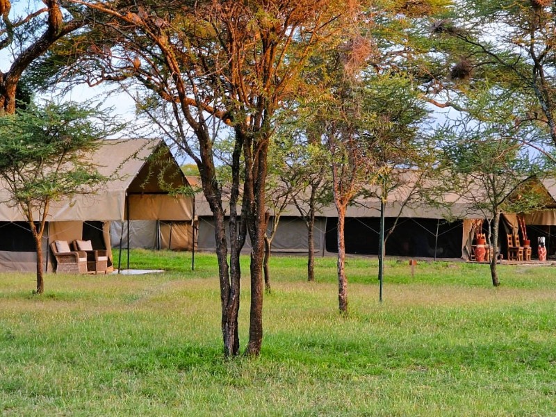 Blick auf die South Serengeti