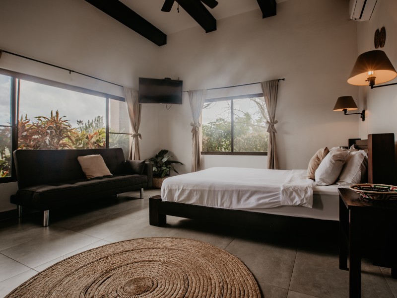 Golden Frog Inn - Queen