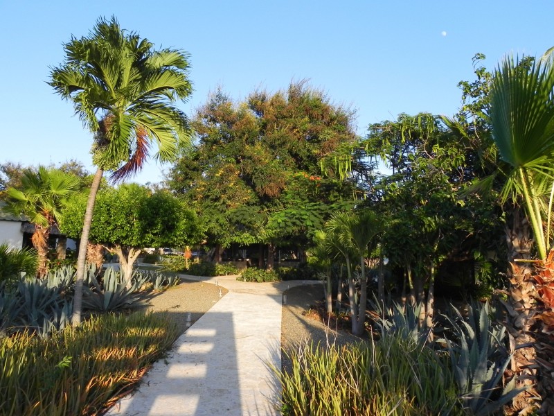 El Morro - Gartenanlage