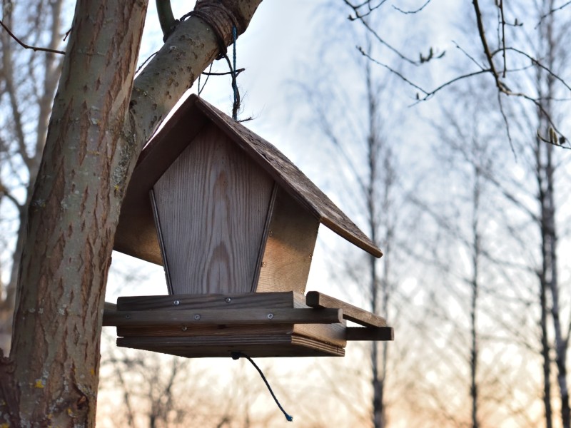 Birdhouse in Lappeenranta