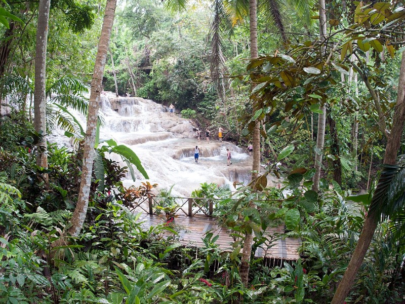 DUNNS RIVER FALLS JAMAICA