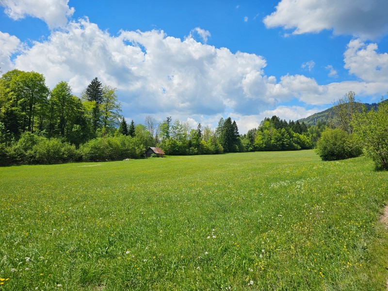 hiking near Kranjska Gora