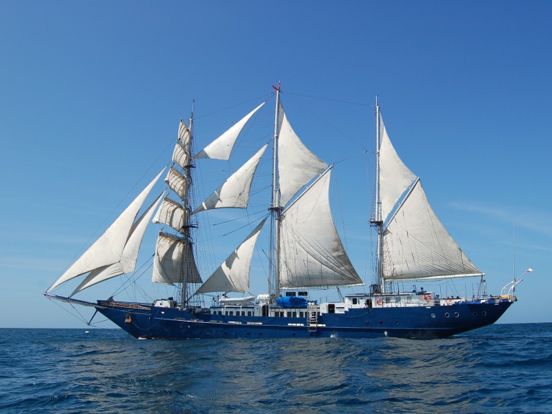 MS MARY ANNE Motorsegler auf See