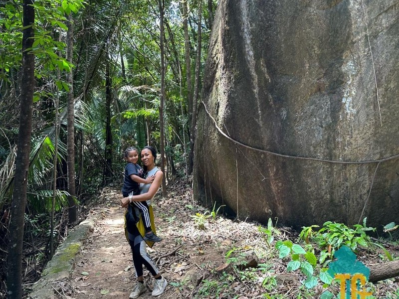 Turtle Mountain in Iwokrama