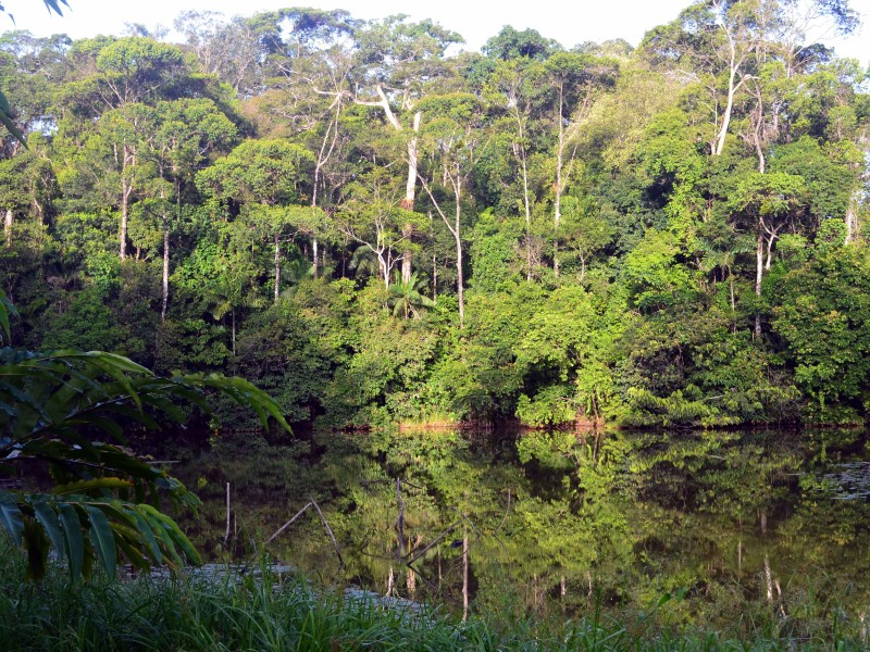 Laguna del Lagarto Lodge