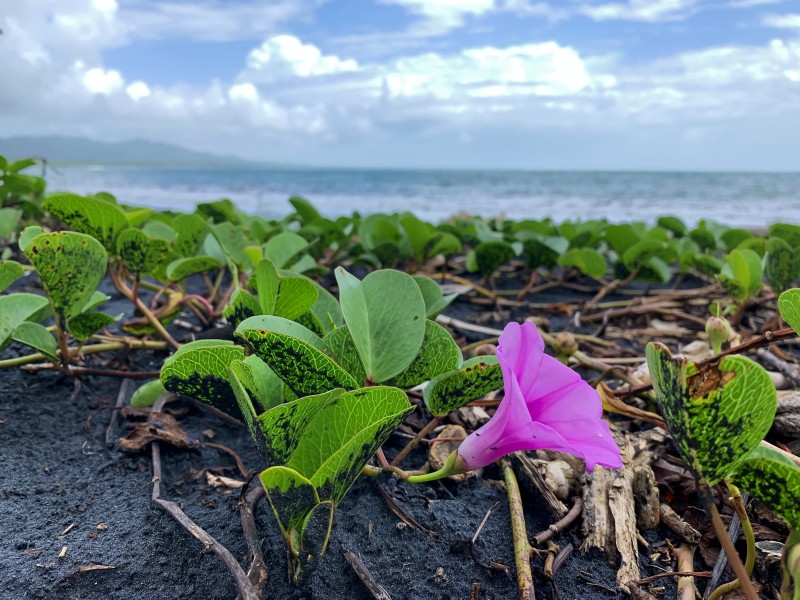 Namuwoki - Strand