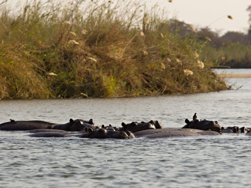 Namibia - Divundu - Okavango river