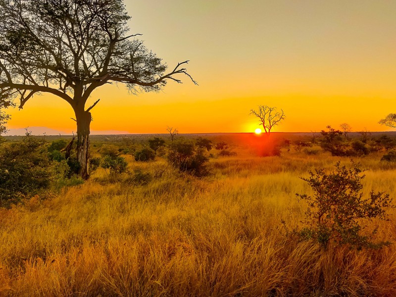 Südafrika - Krüger Nationalpark