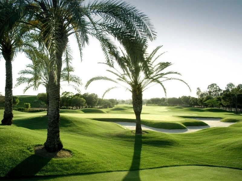 Real Club de Sevilla @ Golf Club