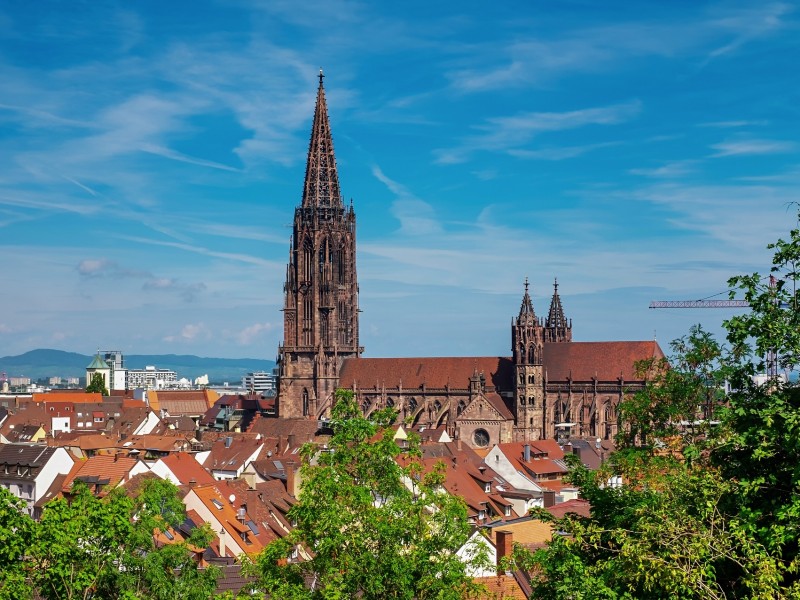 Freiburg Cathedral