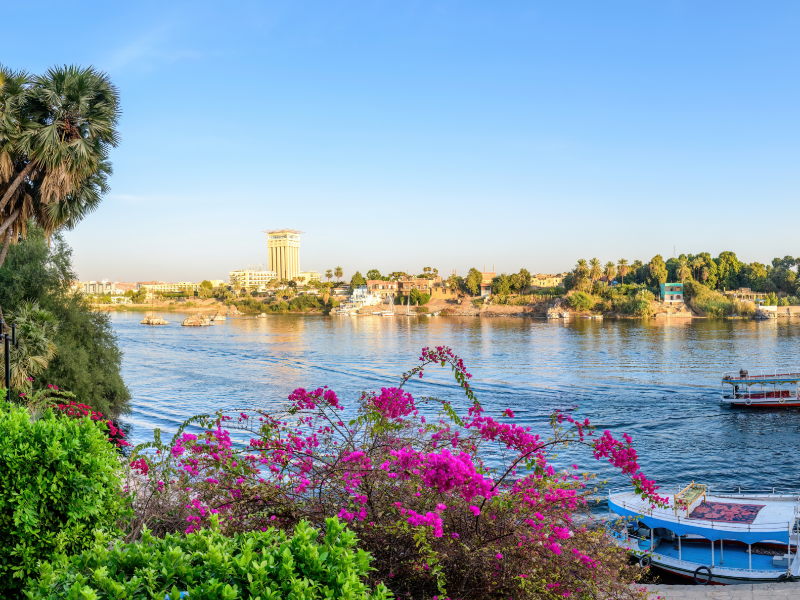Aswan overview