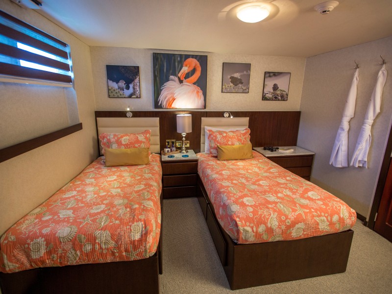 MY PASSION Stateroom 2