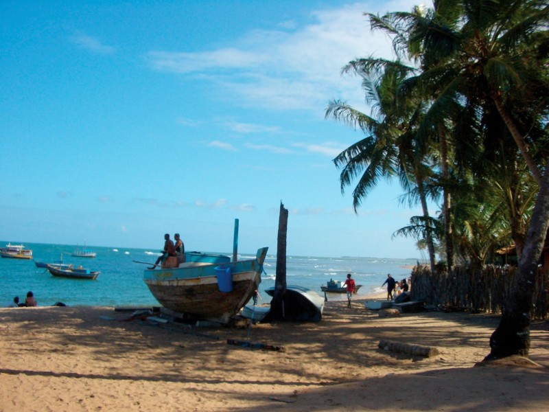 Brazil - Praia do Forte (1)