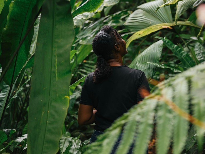 Montreal Botanical Gardens 