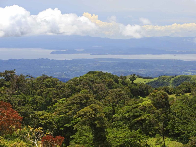 Senda Monteverde - Golf von Nicoya