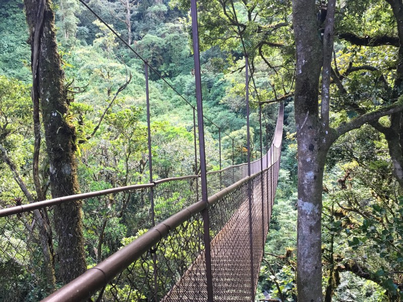 Hängebrücken - Boquete