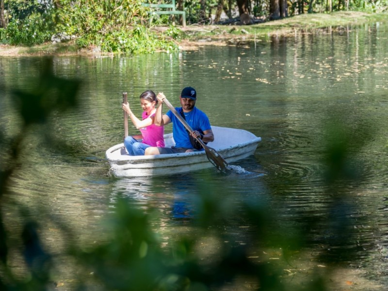 Sueños del Bosque - See