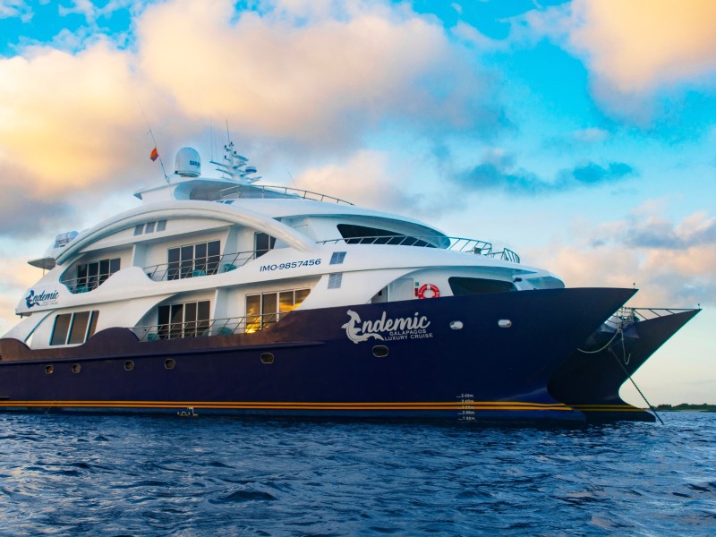 Der Luxus-Katamaran Endemic