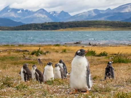 Argentina - Ushuaia