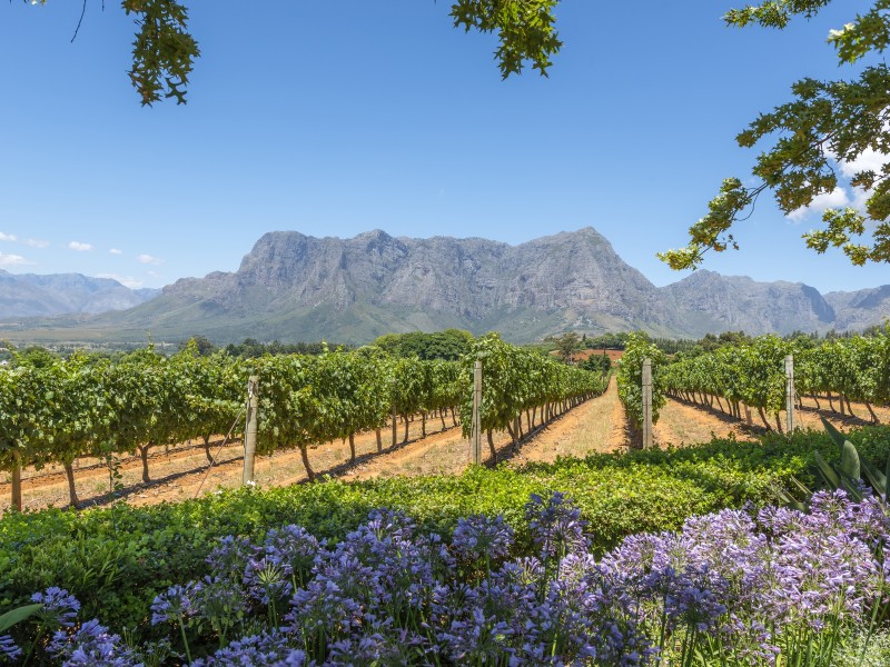 Garden Route und Wunder der Kapregion