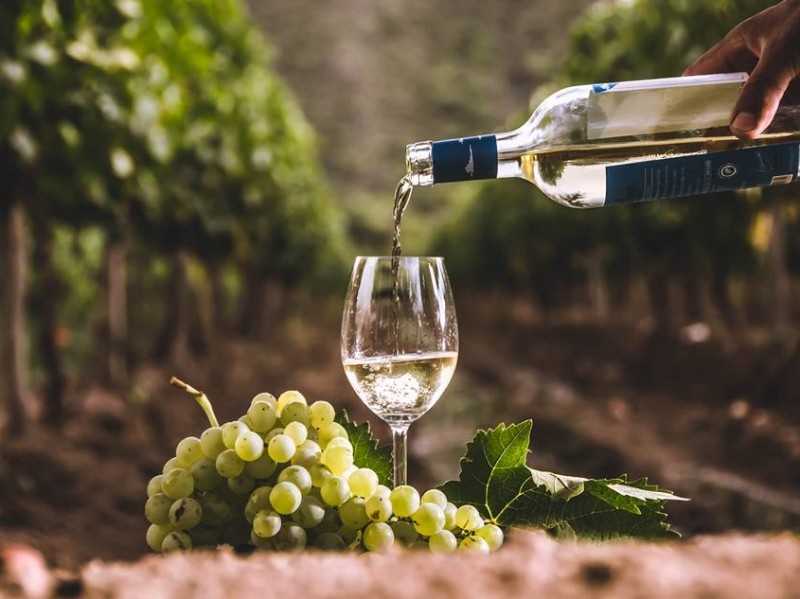 Viñas de Cafayate - Wein
