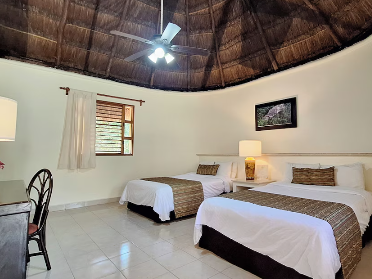 Chicanna_Standard Double