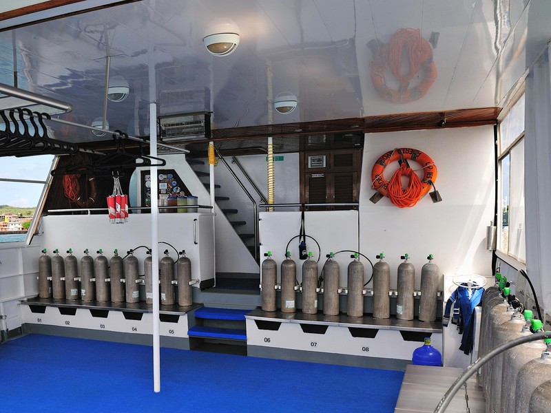 Alles dreht sich ums Tauchen