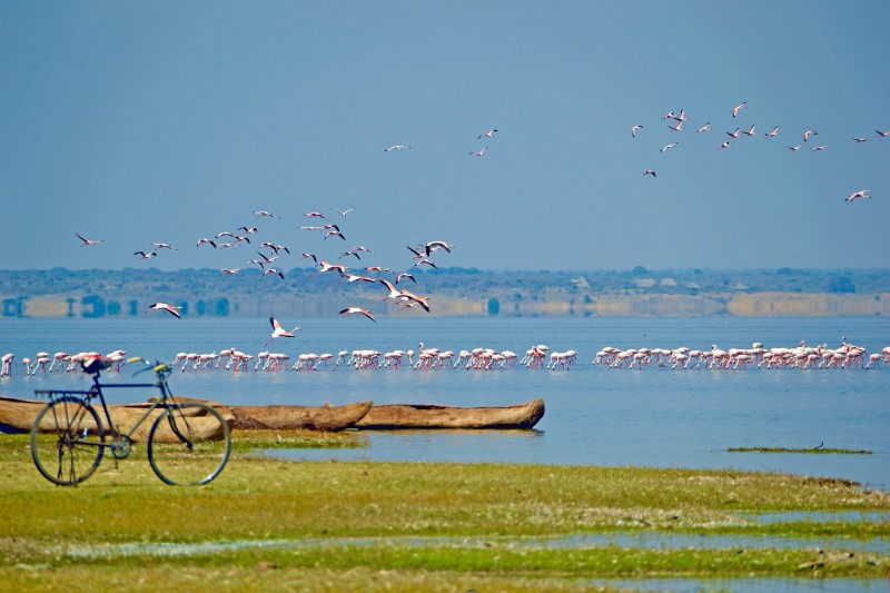 Lake Manyara