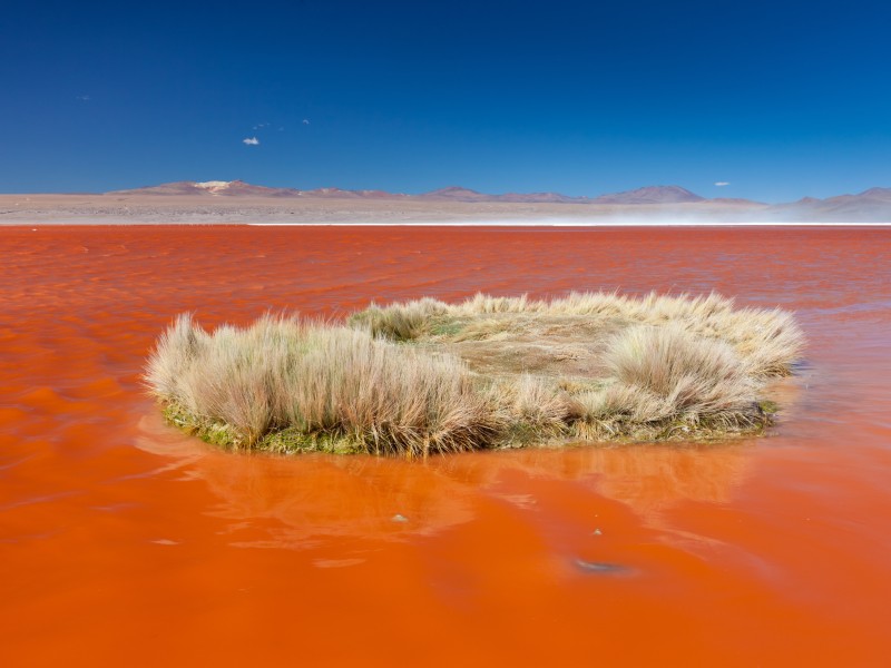 Bolivien - Laguna Colorada