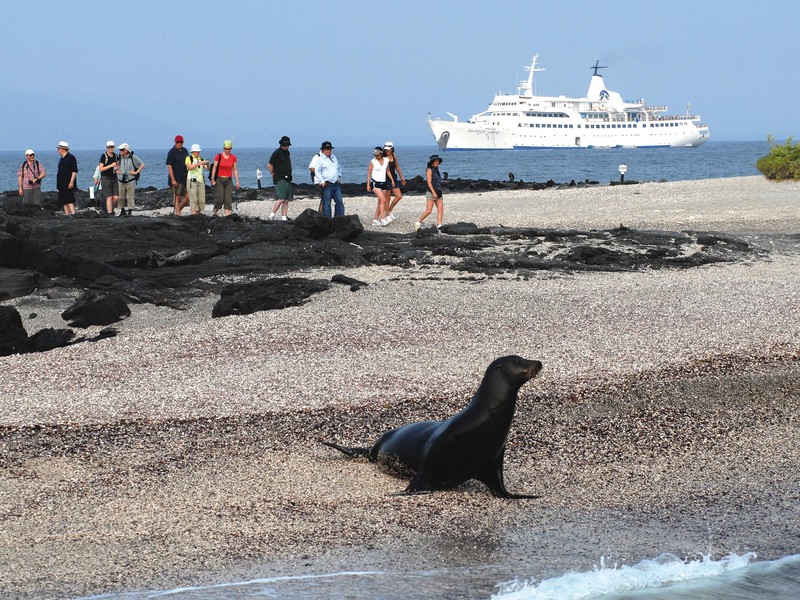 Die Galapagos Legend