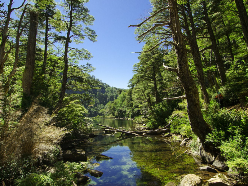Huerquehue-Nationalpark
