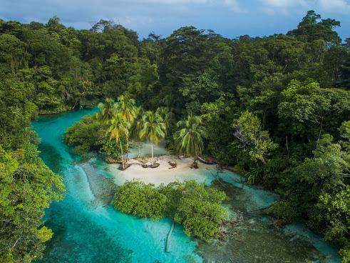 Nayara Bocas - Escudo de Veraguas