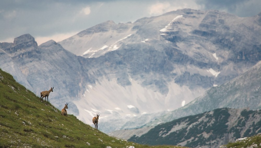 Karwendel, Innsbruck