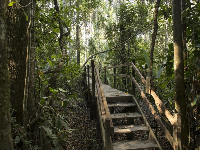 Reserva Amazonica - Urwaldpfad