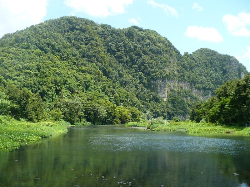 Rio Grande de Arecibo River