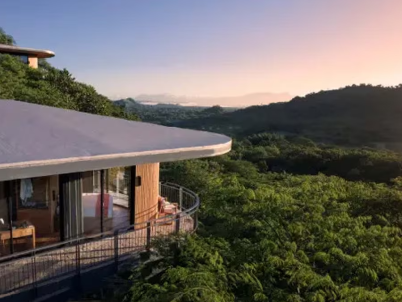 Suitree - Sonnenuntergang 