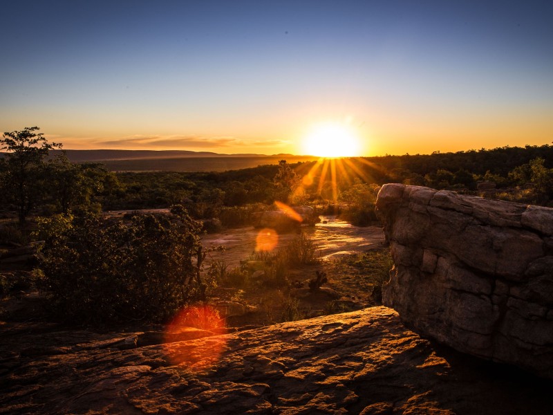 Safarierlebnis in Südafrikas Waterberg-Region