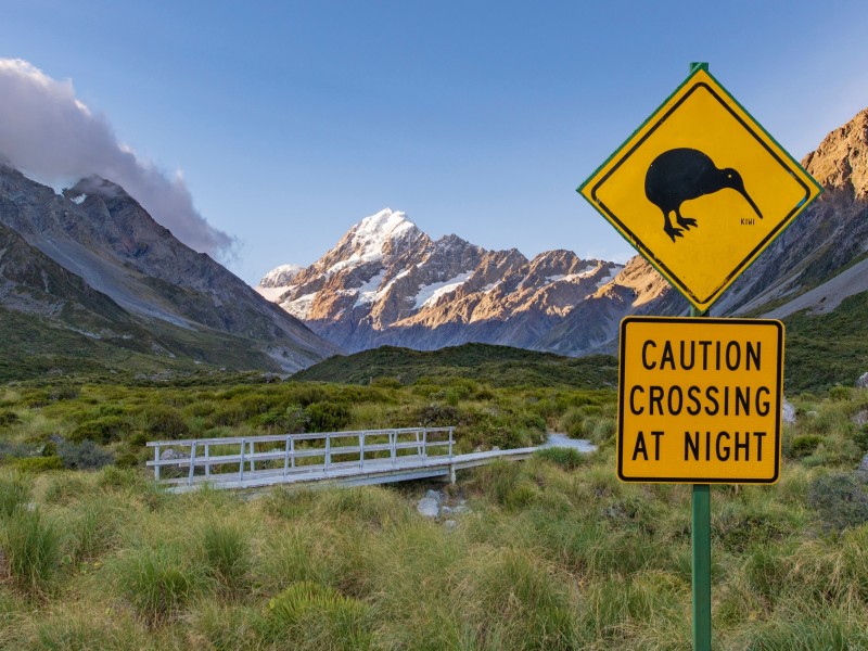 Kiwi-Schild - Mount Cook - Neuseeland