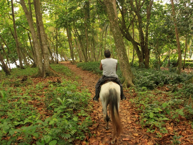 Reittour am Strand - Punta Uva