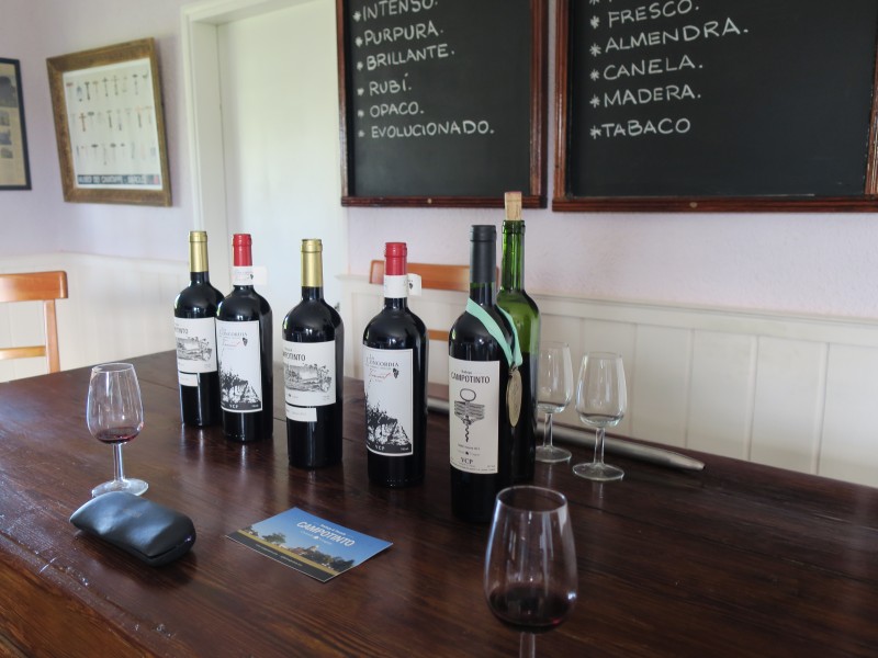 Posada Campo Tinto - Weindegustation