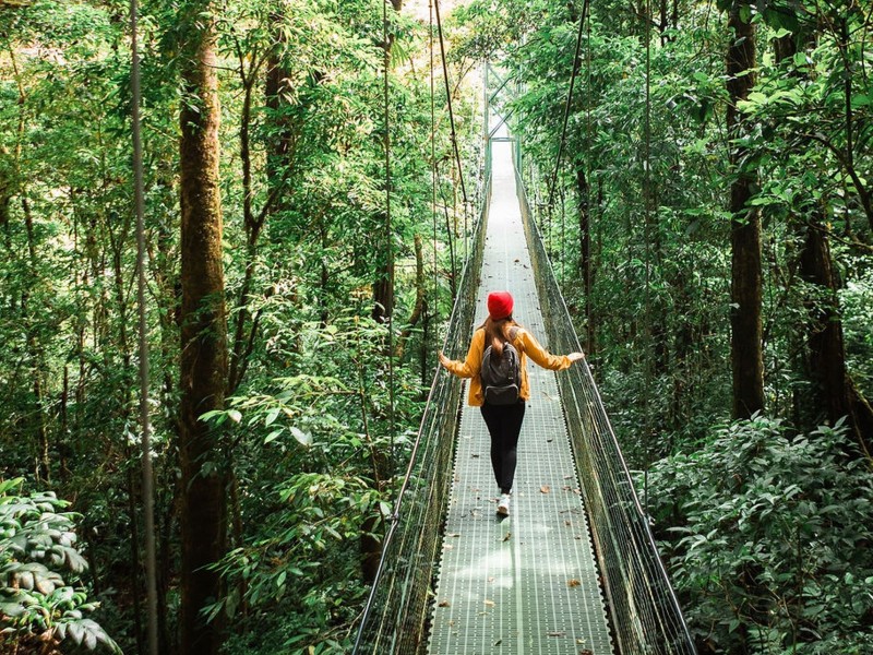 Monteverde - Hängebrücken