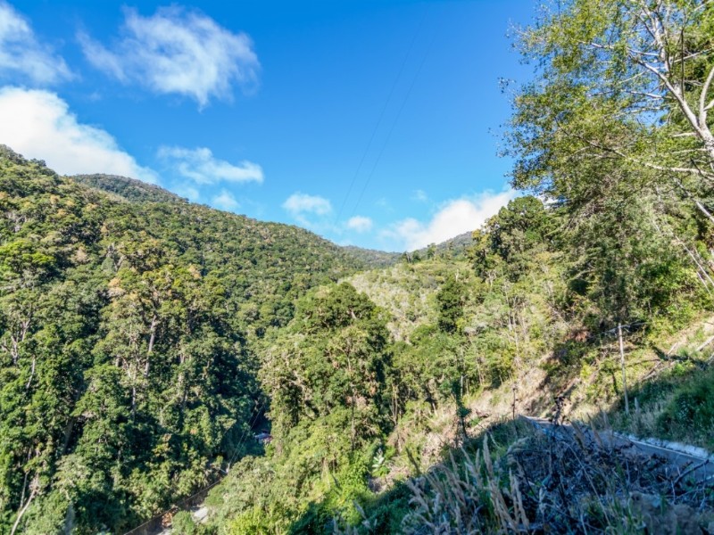 Sueños del Bosque - Aussicht