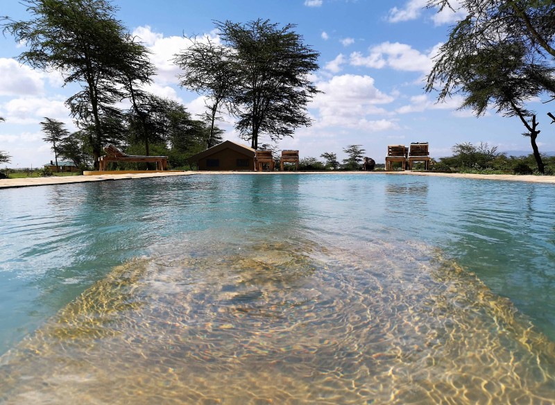 Lake Manyara Swimming Pool