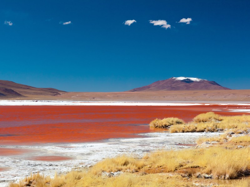 Laguna Colorada